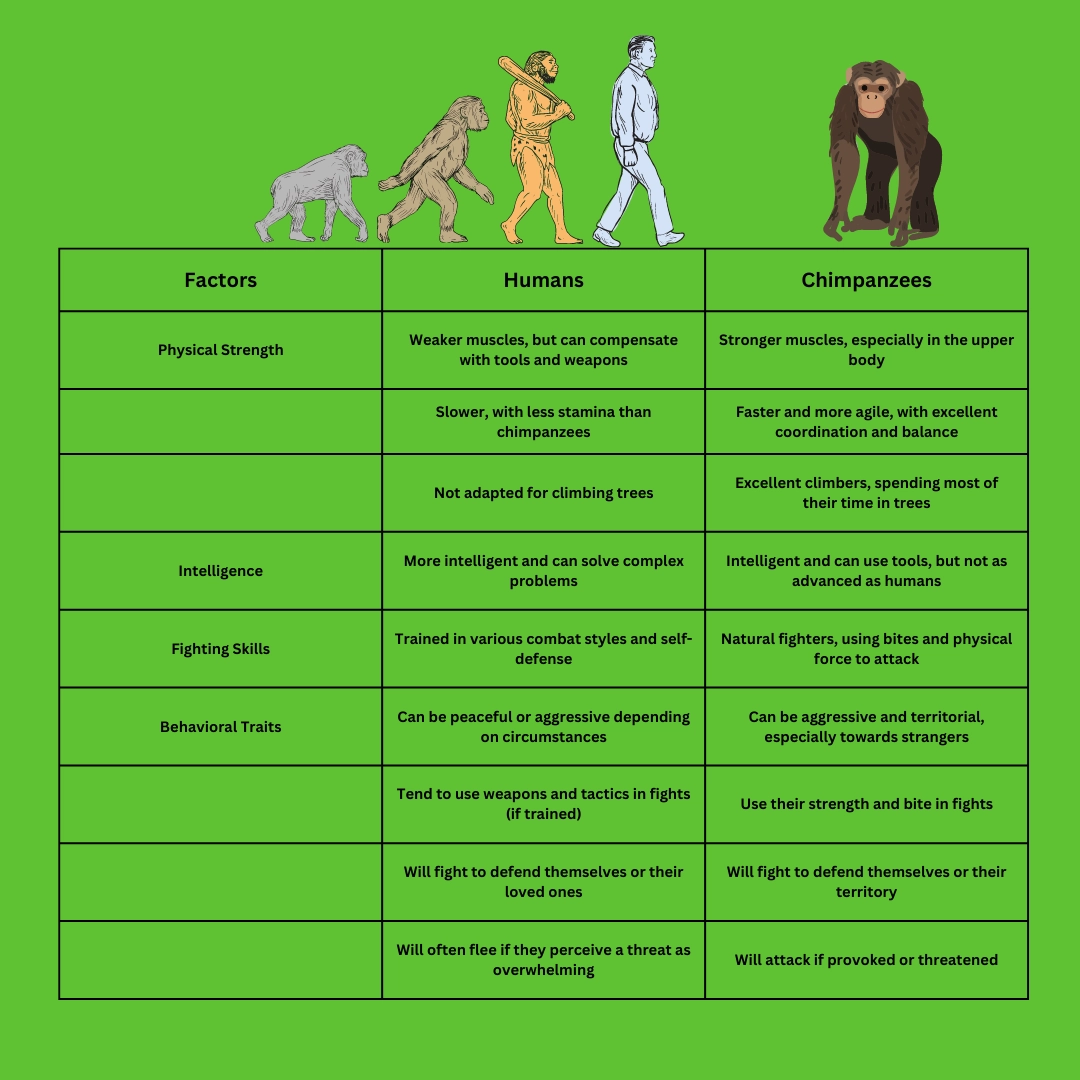 Humans vs Chimpanzees – Humans vs Apes: Who would Win in a Fight?