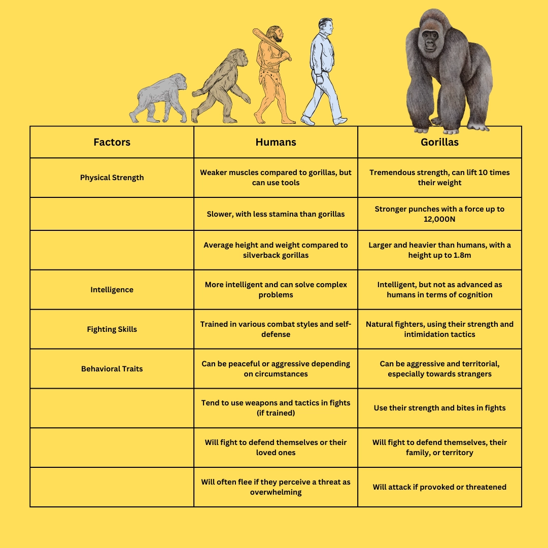 Humans vs Apes: Who would Win in a Fight?