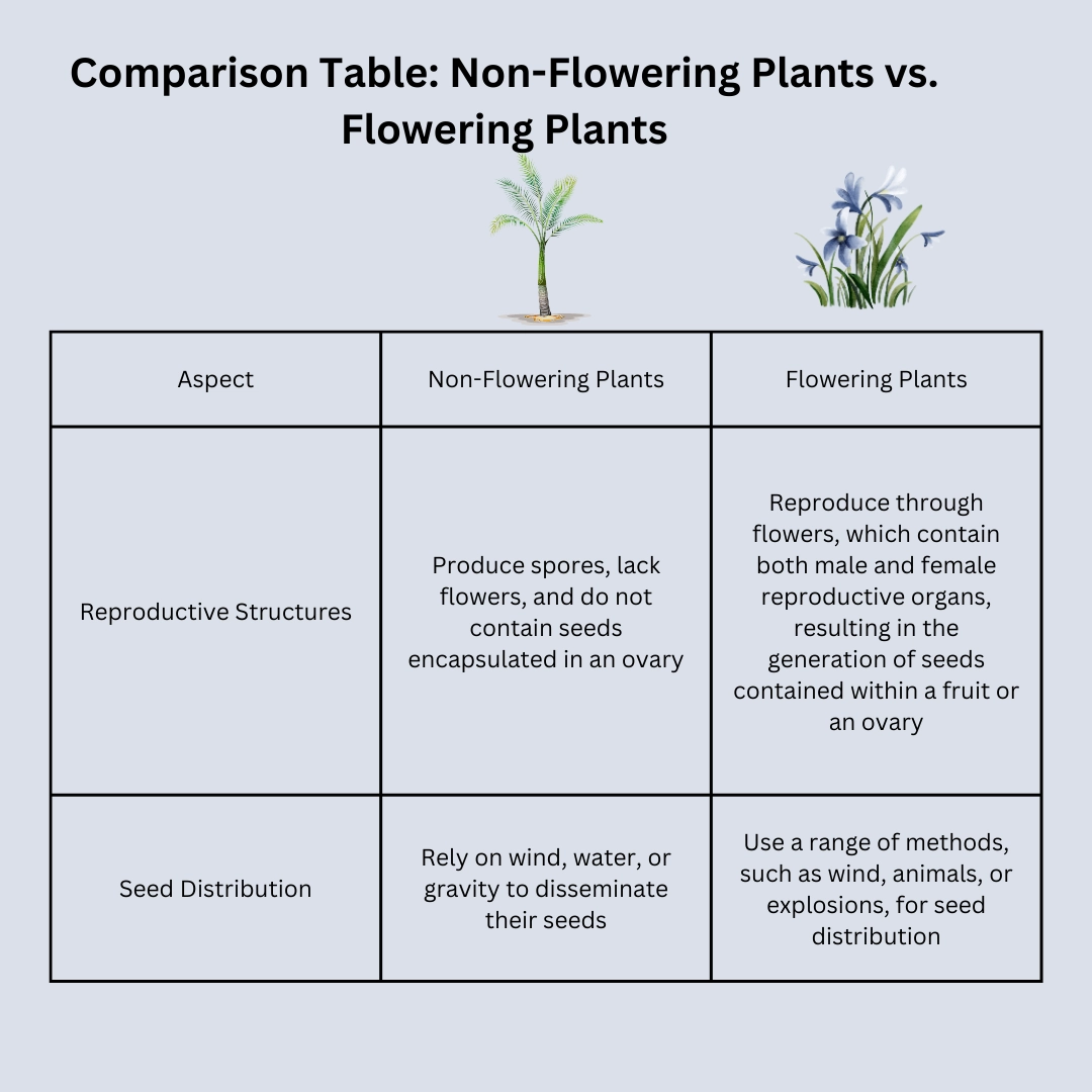 Differences between Non- flowering plants and Flowering plants – Differences in plants - biology definitions