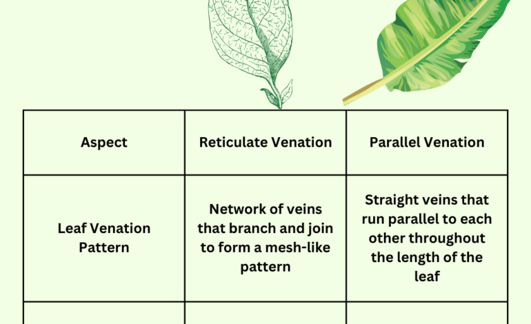  Differences in plants – biology definitions