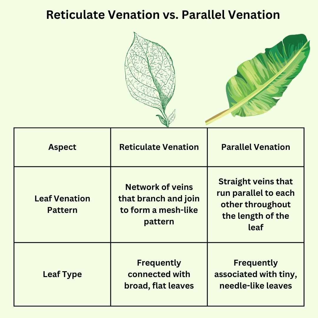 Differences in plants - biology definitions