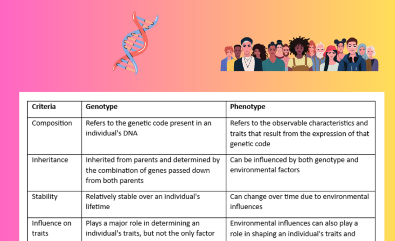  Genetics definitions, DNA RNA types, Mitosis and meiosis – differences