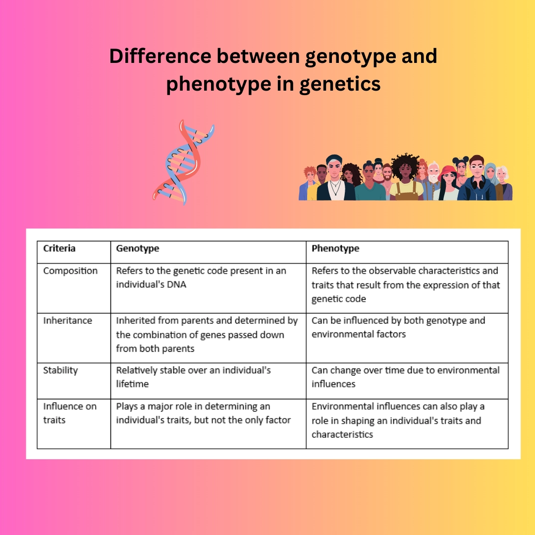 Genetics definitions, DNA RNA types, Mitosis and meiosis – differences