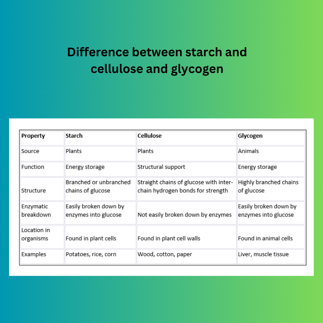 cellulose-starch-and-glycogen-similarities-and-differences-science