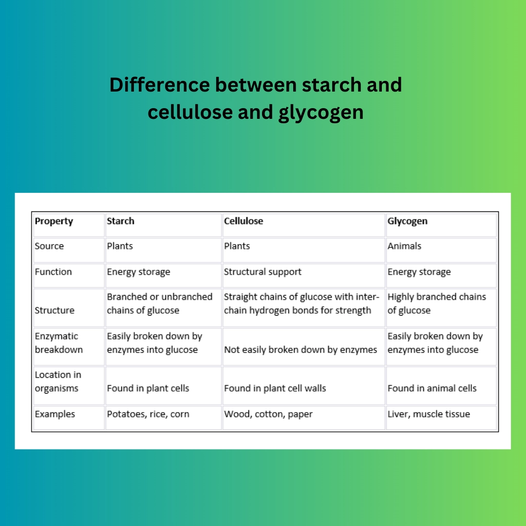 Cellulose, Starch and glycogen – Similarities and differences