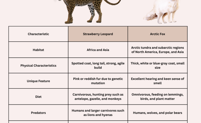  Strawberry leopard vs arctic fox