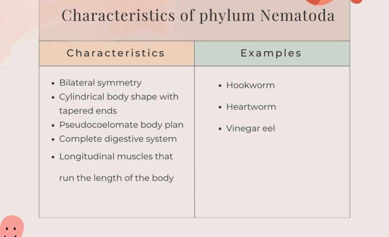 nematoda characteristics