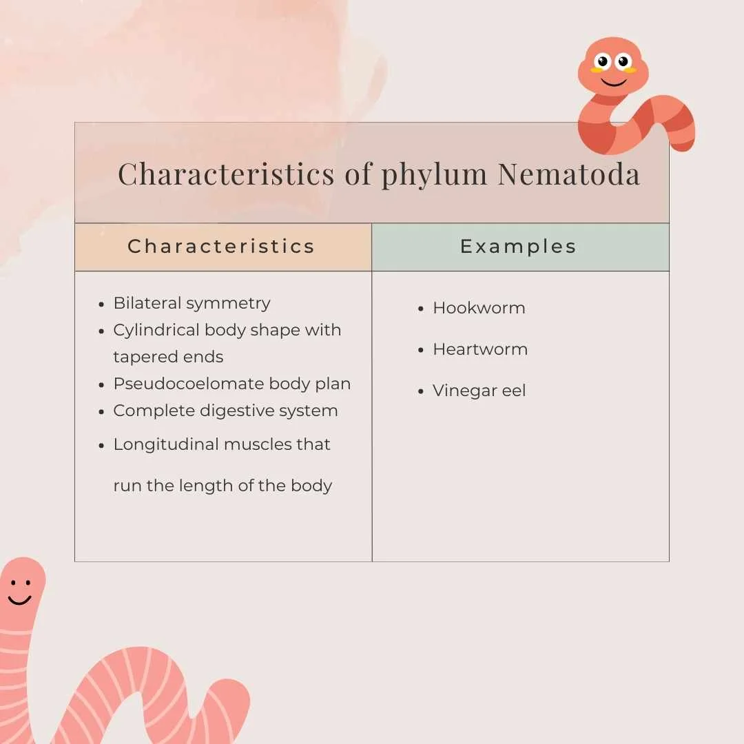 What do Nematoda Eat?
