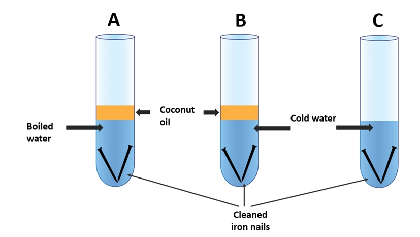Iron Rusting experiment apparatus 1 – Is iron rusting a chemical change?
