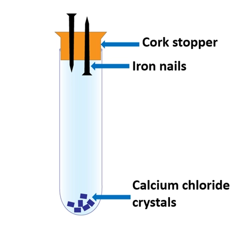 Iron Rusting experiment apparatus 2 – Is iron rusting a chemical change?