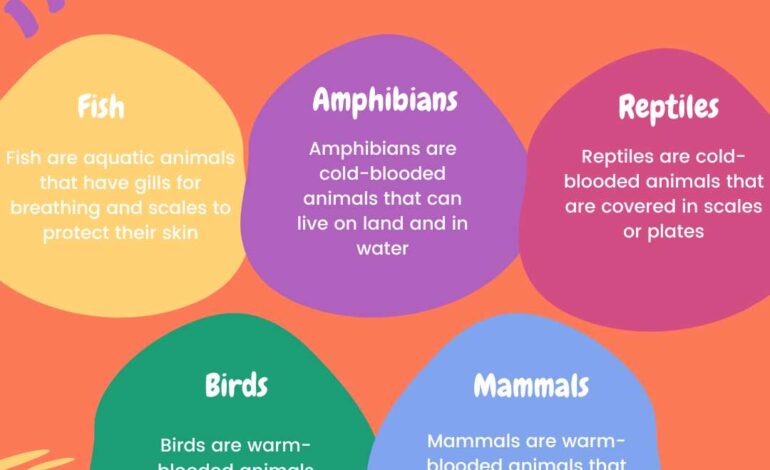  5 Groups of vertebrates