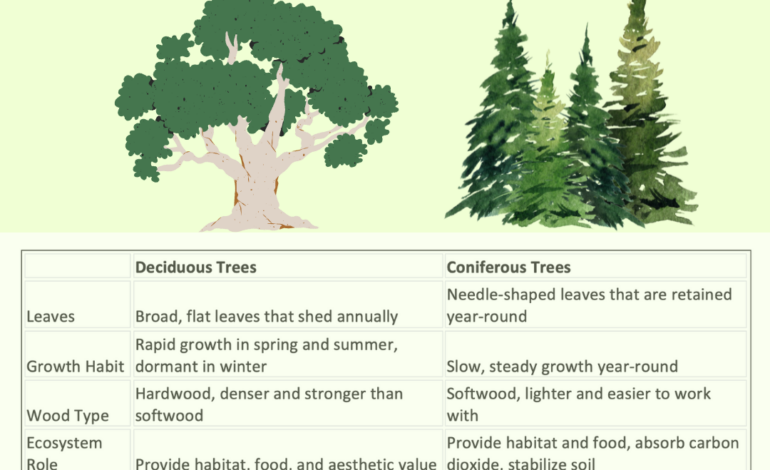  Deciduous Trees: Characteristics, Types, Importance