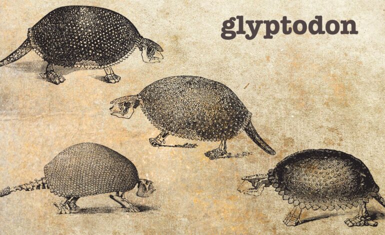  Glyptodon: A Fascinating Prehistoric Giant