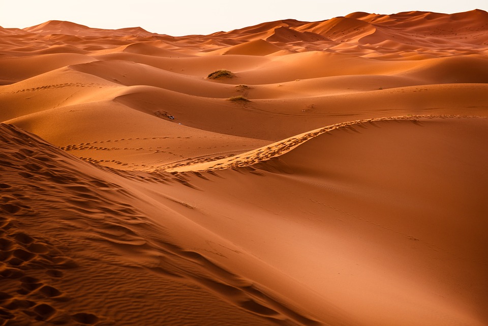 Free Desert Sand Dunes photo and picture