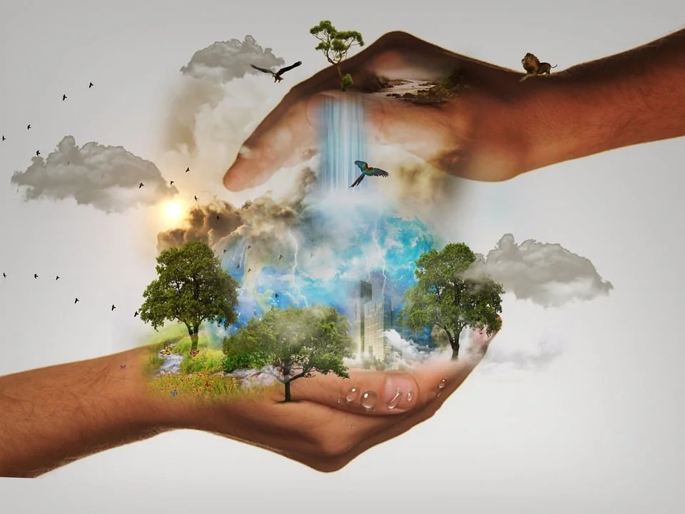 Trees on Earth: A Surprising Fact