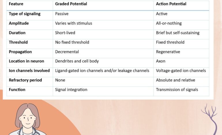  Cardiac Action Potential and Graded Potential vs Action Potential