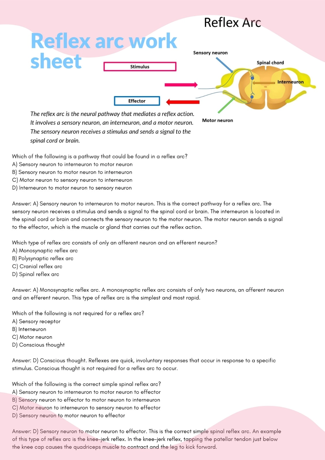 Reflex arc work sheet answers – Reflex Arc: Definition, Simple Reflex Arc, and Diagram
