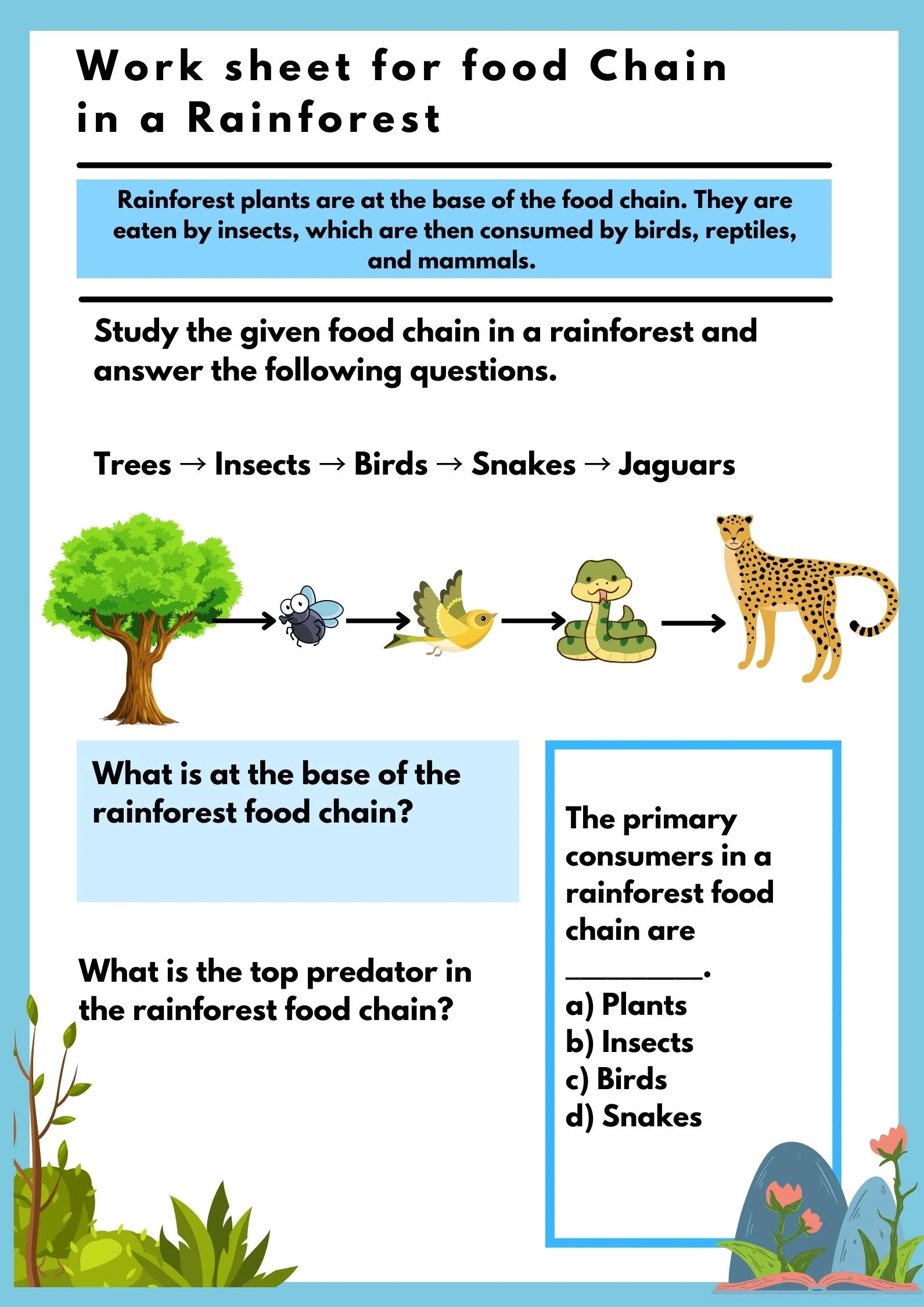 Food chain in the rainforest - work sheets