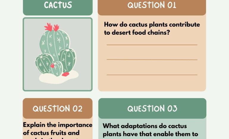  Cactus Plant in Desert Food Chains – Work sheets included