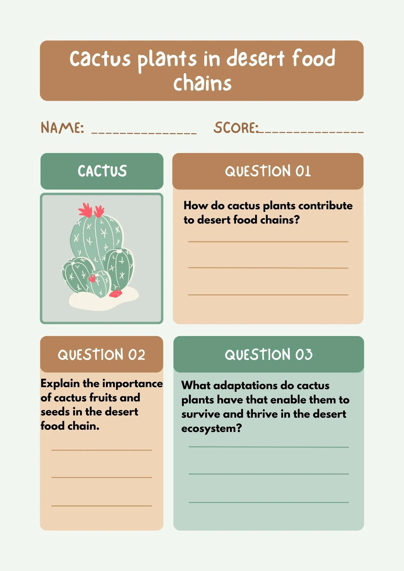 Cactus Plant in Desert Food Chains - Work sheets included