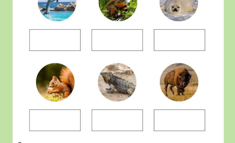  Animals and habitats – with worksheets