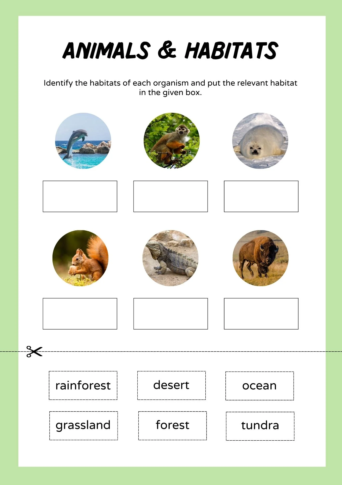 Animals and habitats - with worksheets