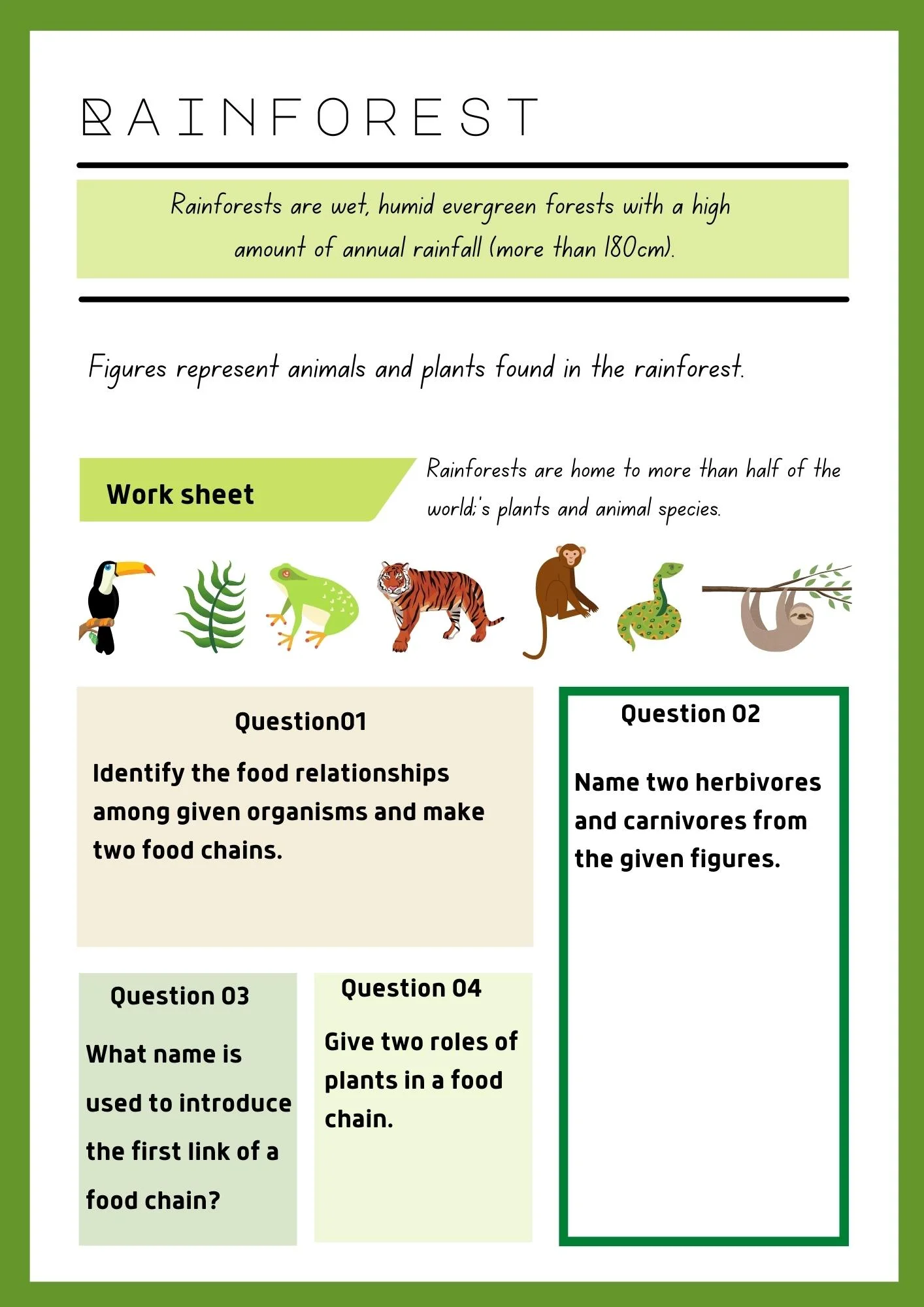 Rainforest and food relationships - worksheets