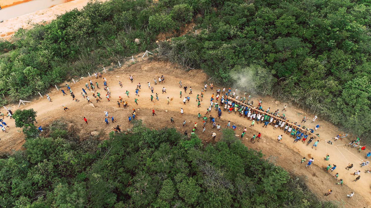 Free Aerial View of People on a Road in a Rainforest  Stock Photo