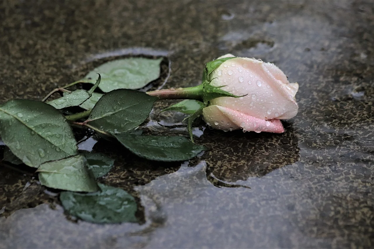 Short beautiful words for gravestone