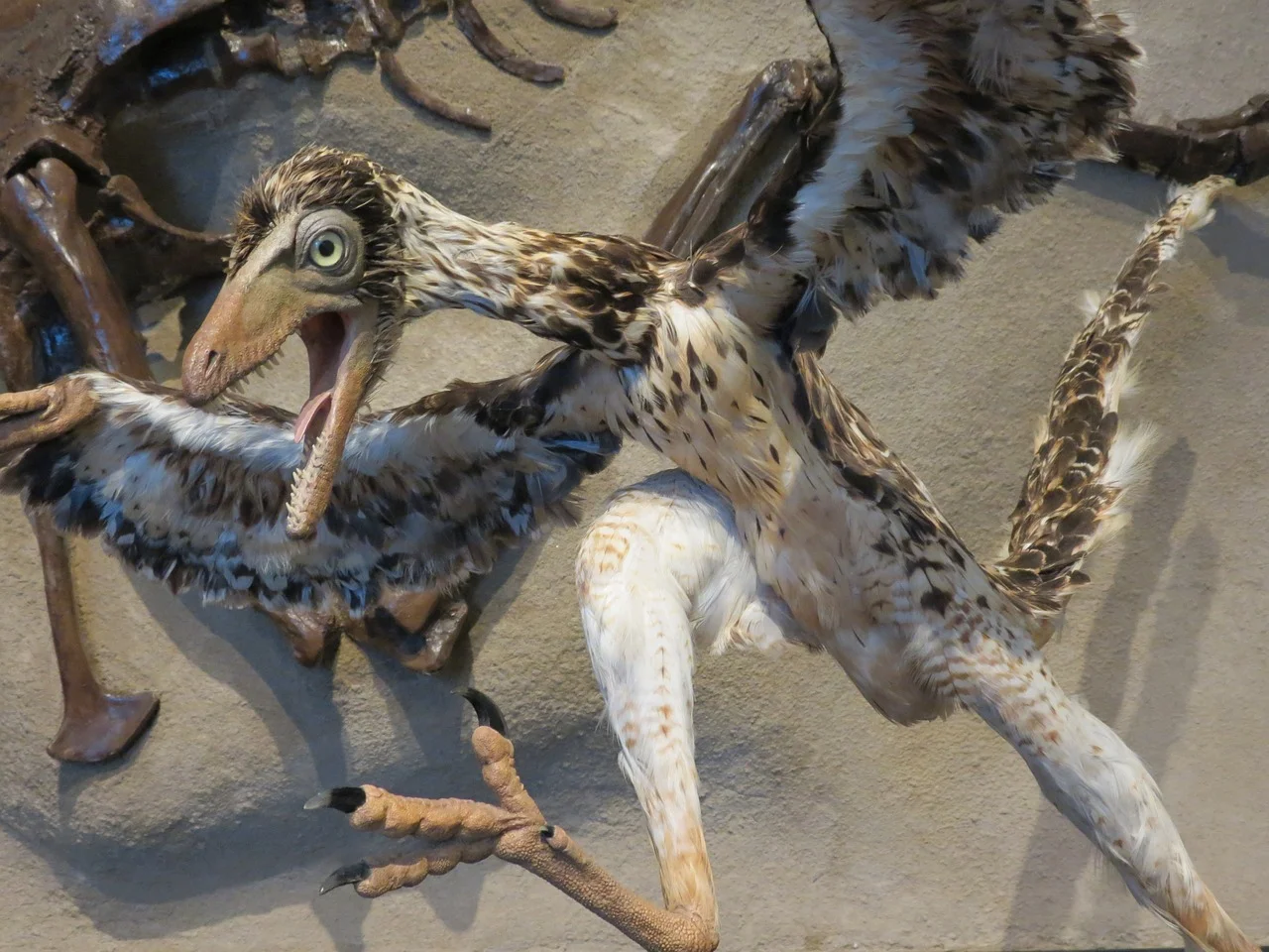 Mysteries of Archaeopteryx: A Link Between Reptiles and Birds