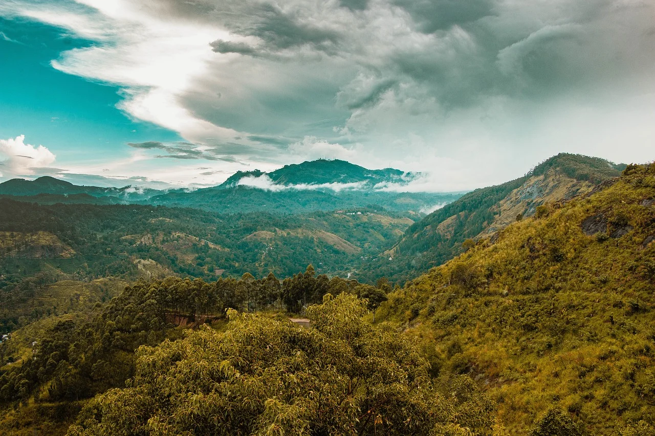 Exploring Sri Lanka: Deserts, Jungles, and the Enchanting Sinharaja Forest