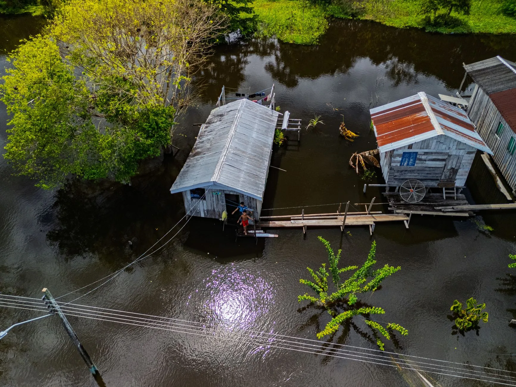 Aerial view of houses surrounded by floodwater and green trees in Amazonas, Brazil