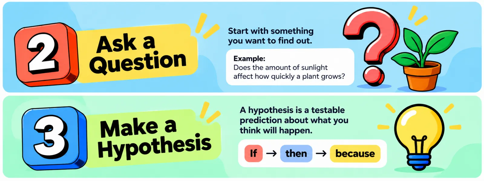 Step 2, ask a question, such as does the amount of sunlight affect how quickly a plant grows, and step 3, make a hypothesis using if, then, because