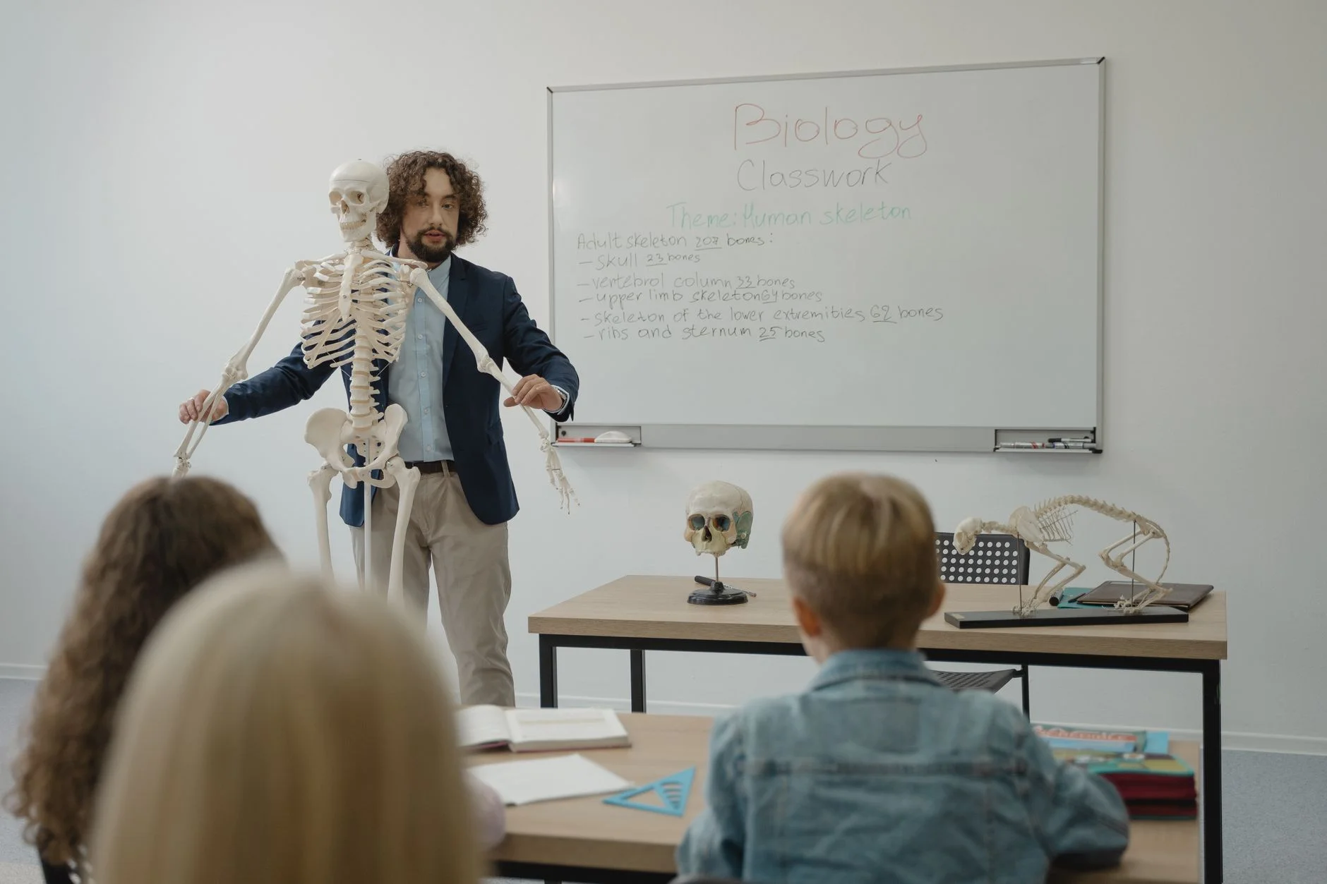 A biology teacher showing a human skeleton model to a class of students
