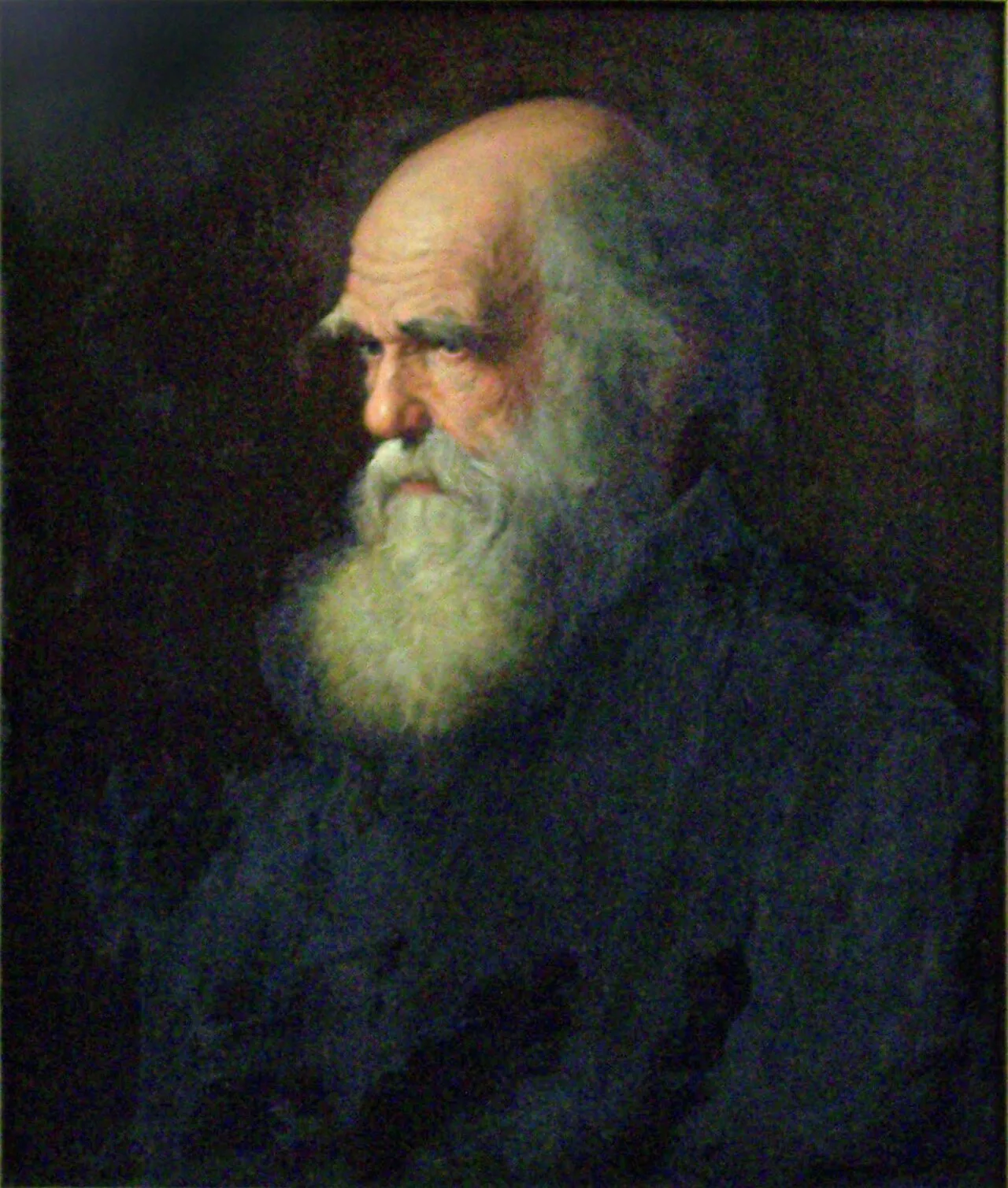 Oil portrait of Charles Darwin as an elderly man with a long white beard, painted by Walter William Ouless in 1875