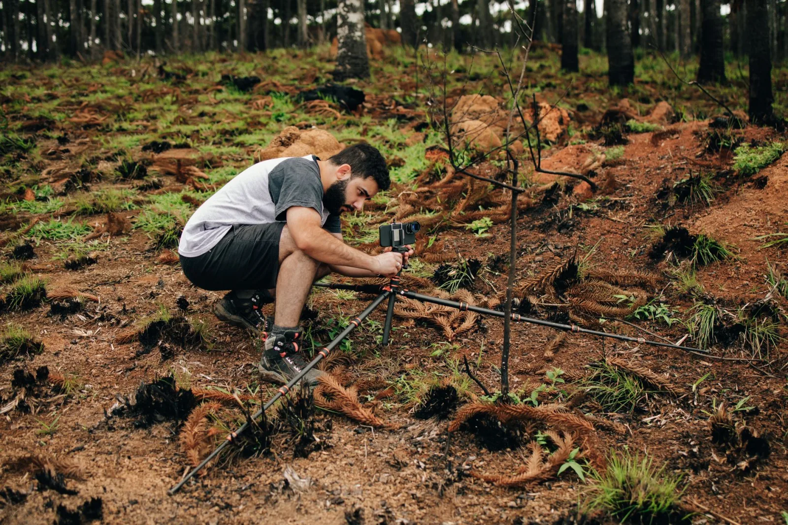 A researcher crouching on a forest floor setting up a camera on a small tripod