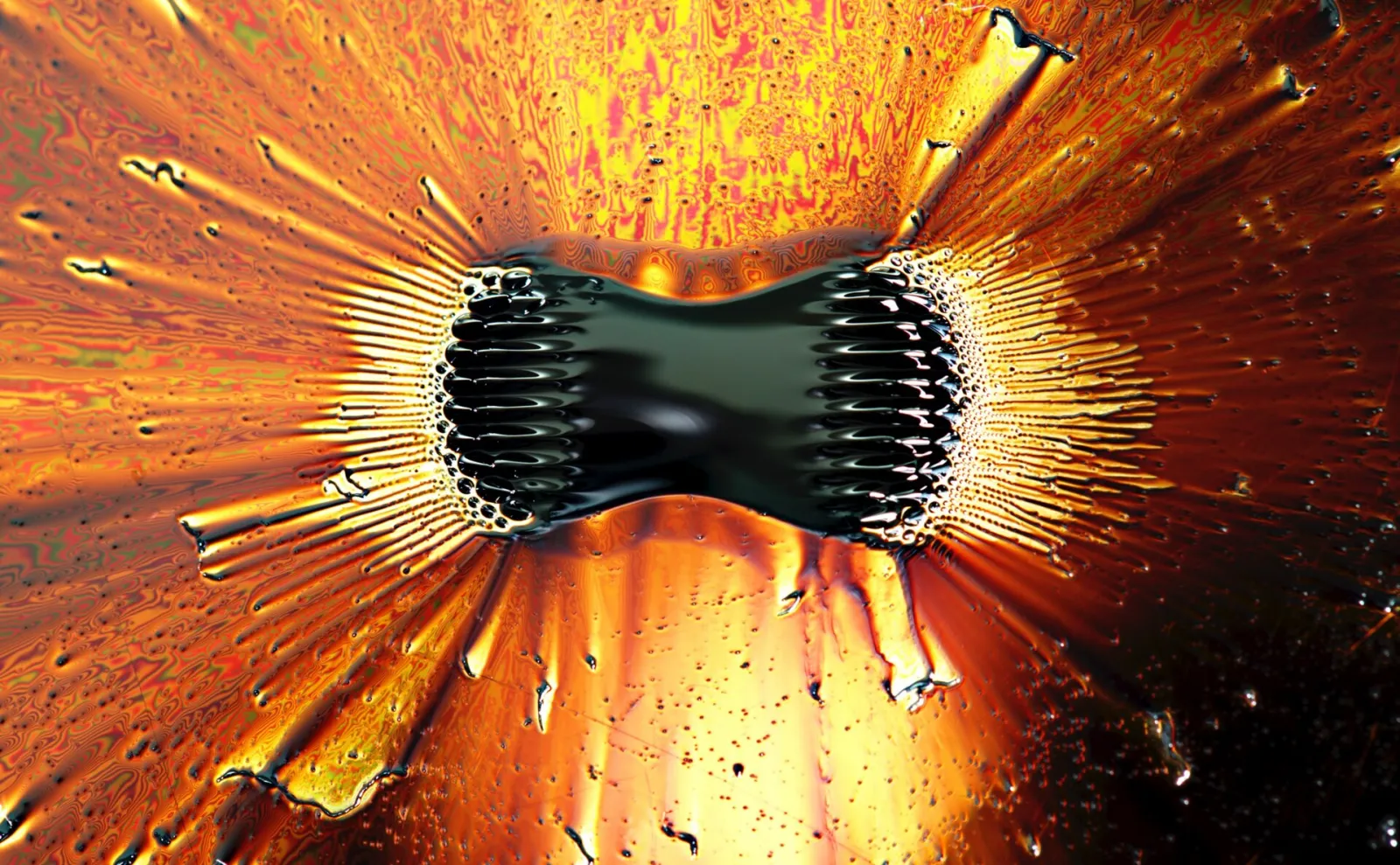 Black ferrofluid gathered into spiky clumps at the two poles of a strong magnet under an orange oily surface