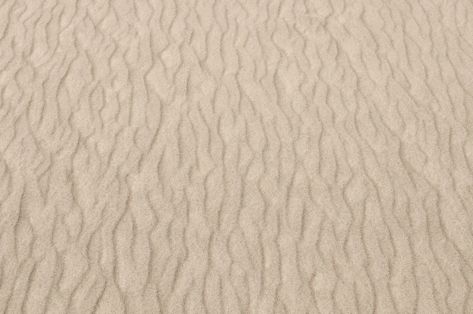 Close-up of fine pale sand with ripples