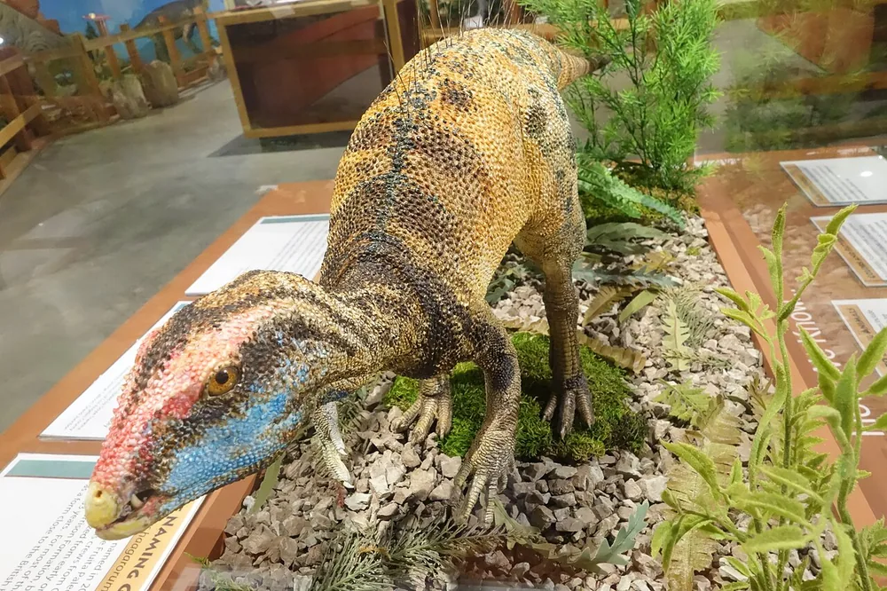 Life-size model of the small dinosaur Fruitadens among plants in a museum display