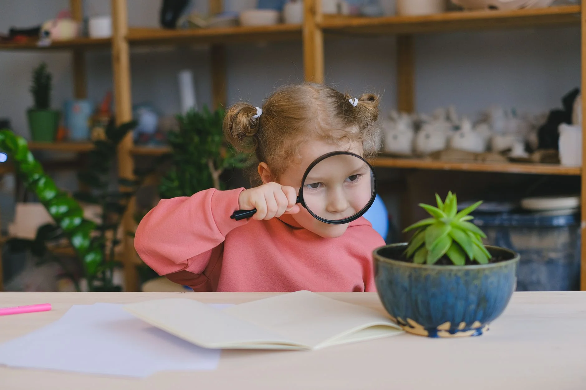 A young girl in a pink jumper looking at a small succulent plant in a blue pot through a magnifying glass