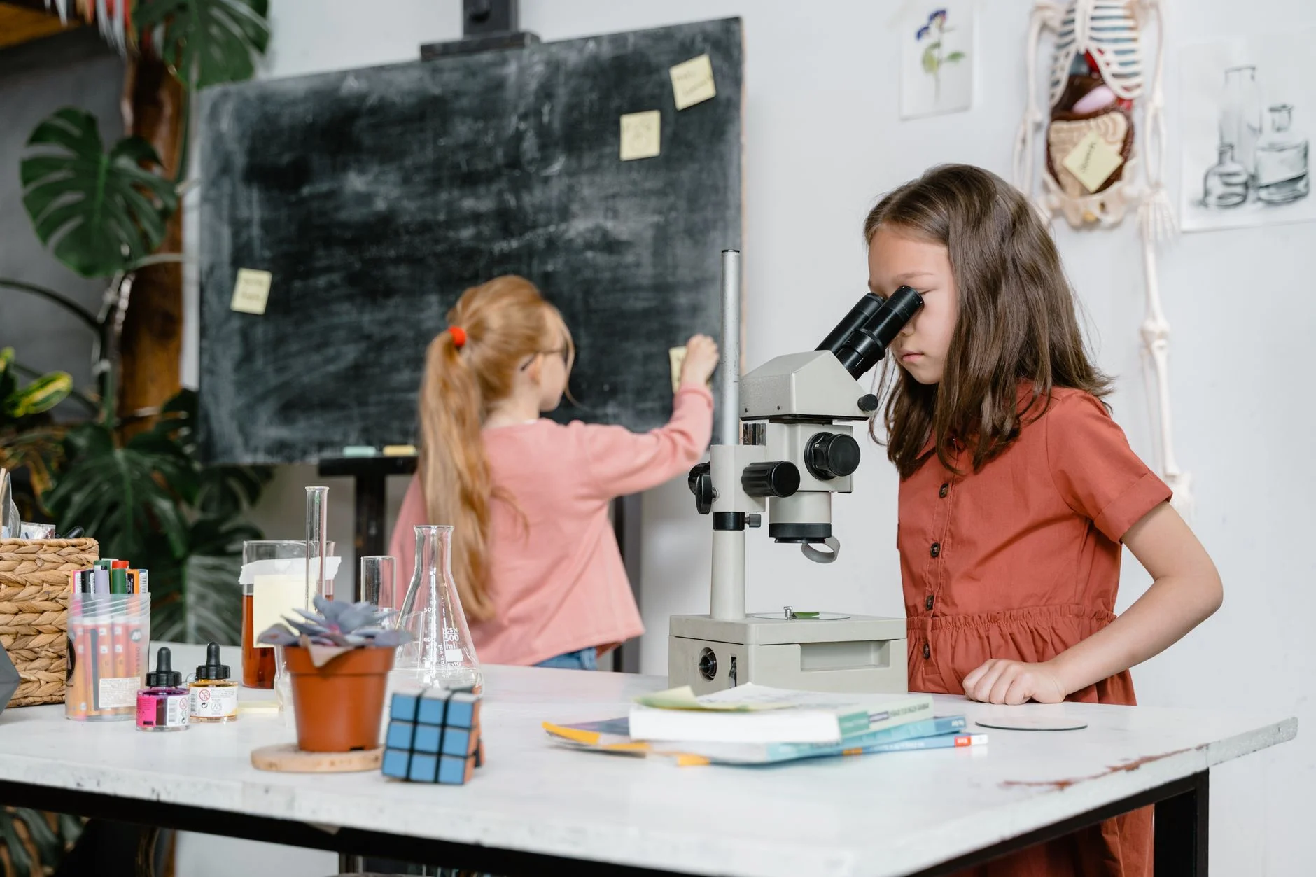 Two girls in a classroom, one looking through a microscope