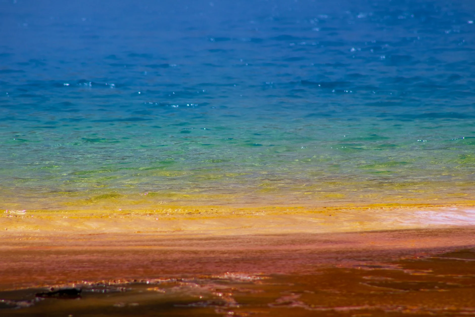 Colourful microbial mats around the Grand Prismatic Spring in Yellowstone