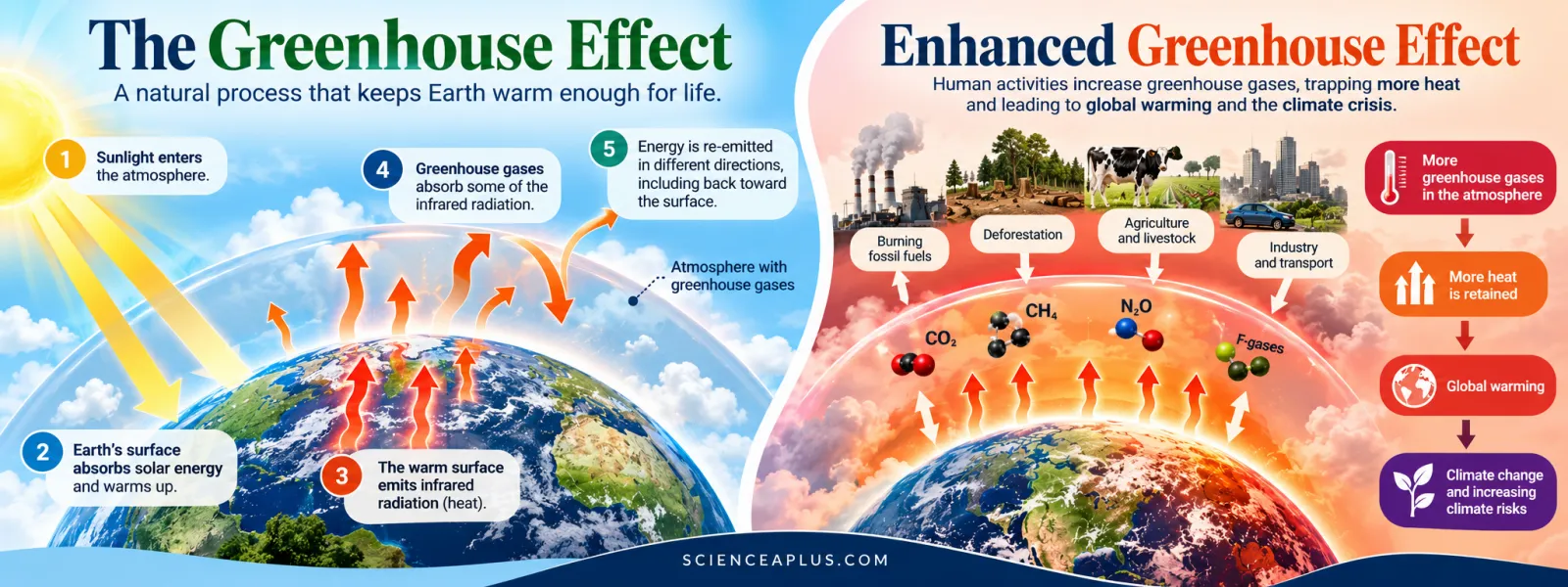 The greenhouse effect in five steps (sunlight enters, the surface absorbs it and warms, the surface emits infrared, greenhouse gases absorb some infrared, energy is re-emitted including back to the surface) and the enhanced greenhouse effect caused by burning fossil fuels, deforestation, agriculture, industry and transport