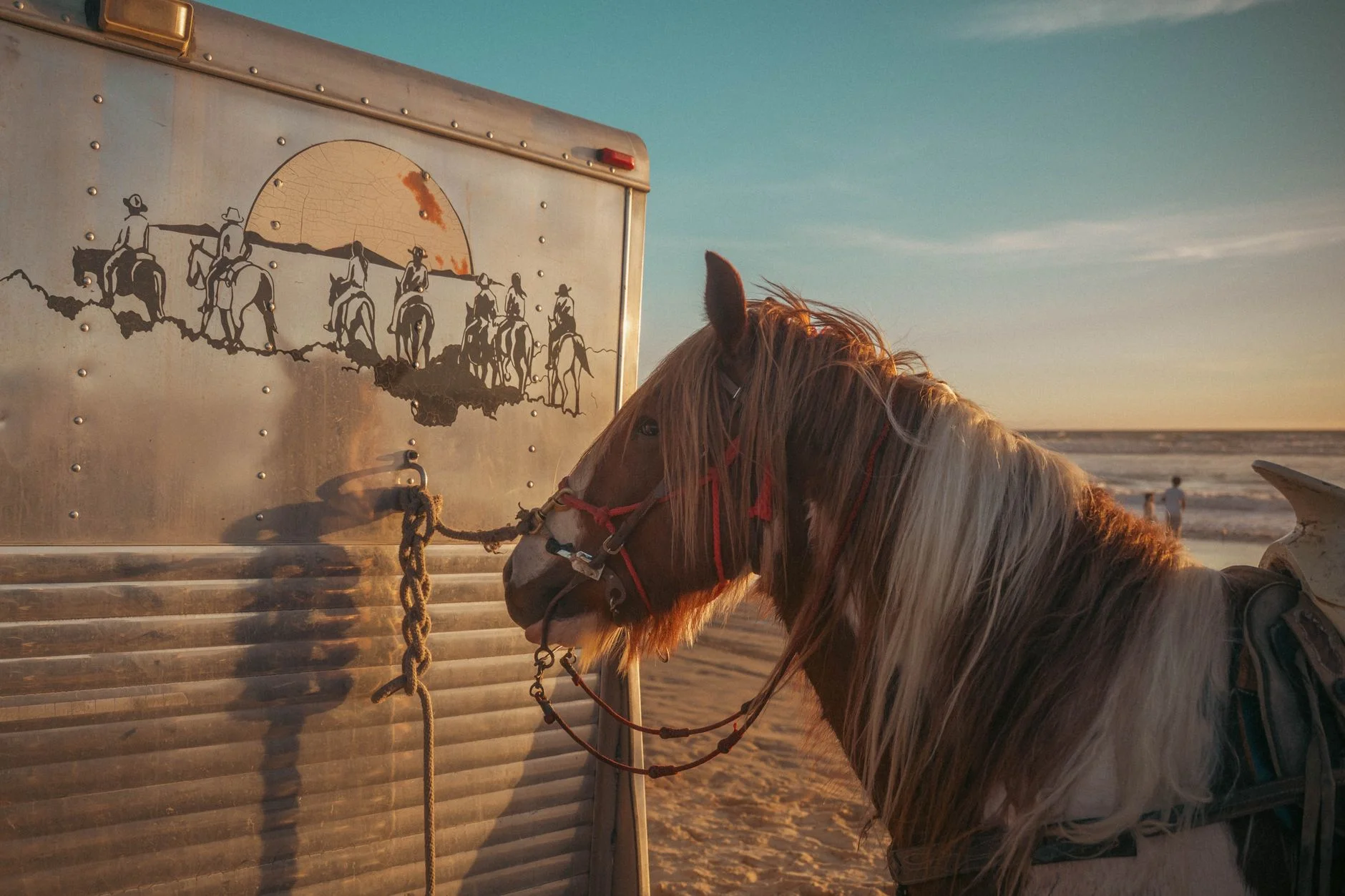 A horse tied to the side of a metal horse trailer on a beach at sunset
