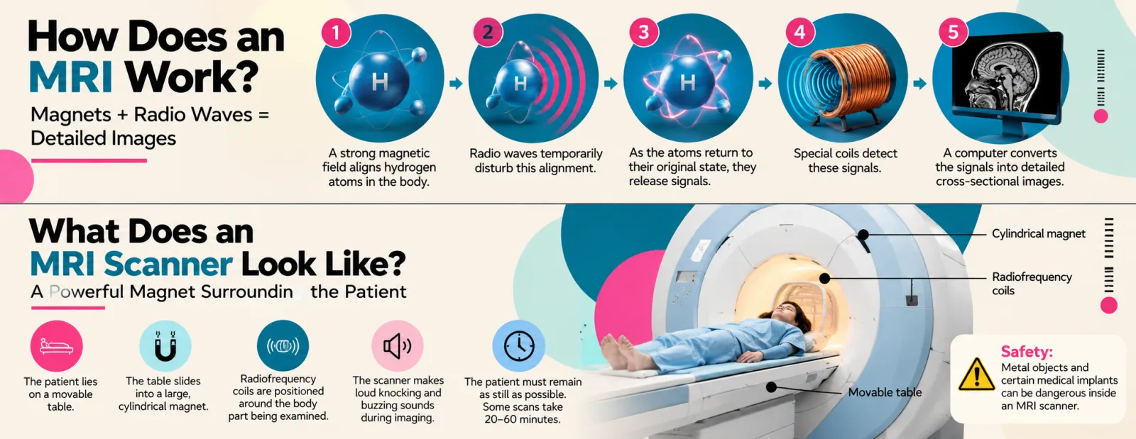 How does an MRI work: a strong magnetic field aligns hydrogen atoms, radio waves disturb the alignment, the atoms release signals as they return, coils detect the signals and a computer builds cross-sectional images; the scanner is a large cylindrical magnet with a movable table