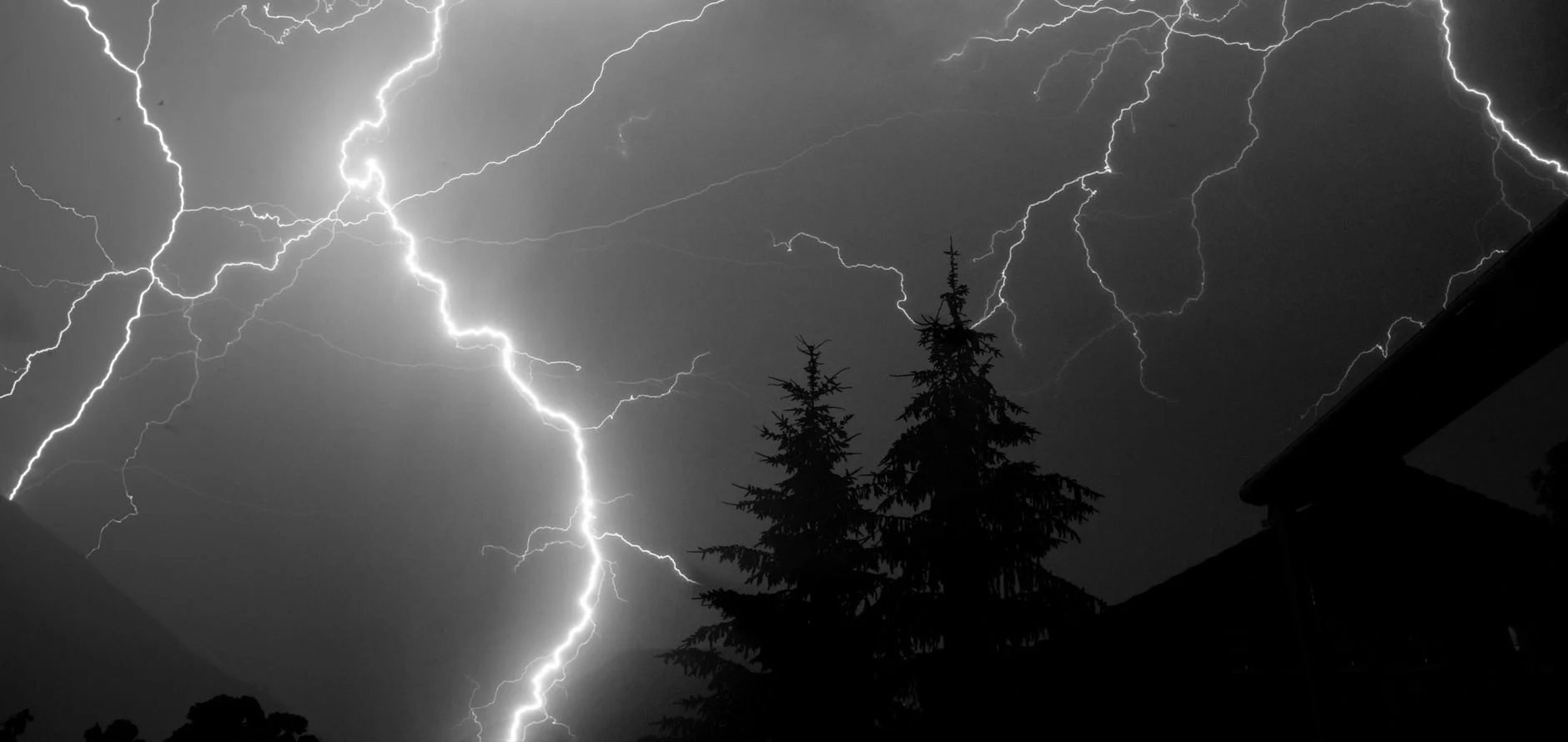 Bright branching lightning bolts over dark pine trees at night