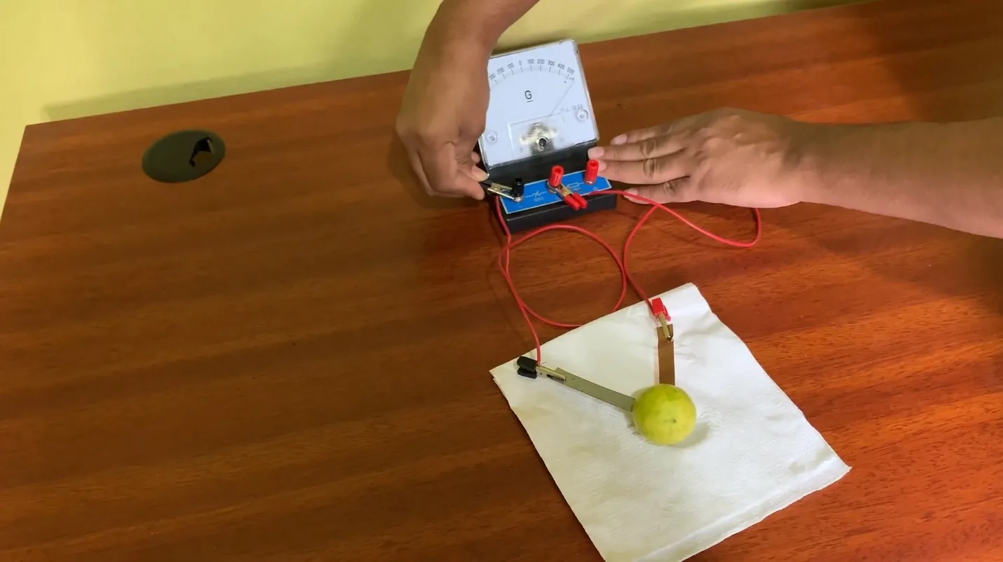 Lemon Battery Experiment: Electricity from a Lime Fruit