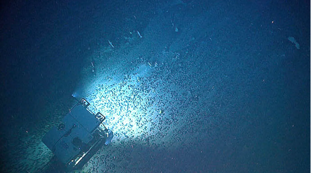 Remotely operated vehicle lighting up a sea floor scattered with dark ferromanganese nodules