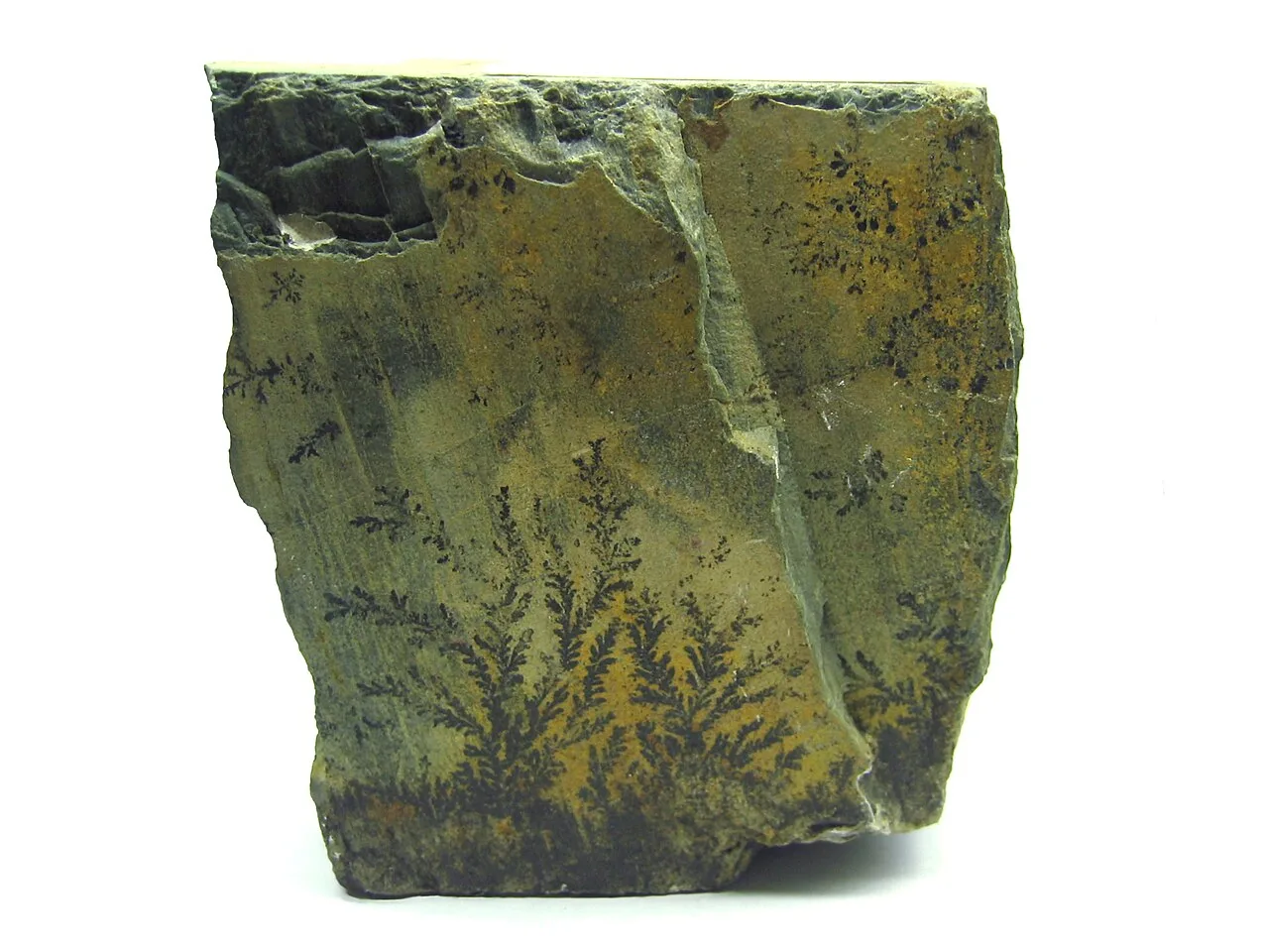 Fern-like black manganese oxide dendrites on a slab of pale rock