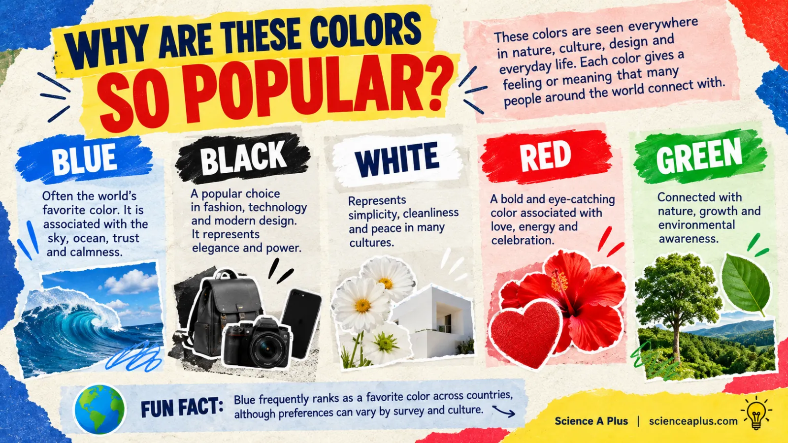 Most Common Colours Worldwide: The Science of Colour